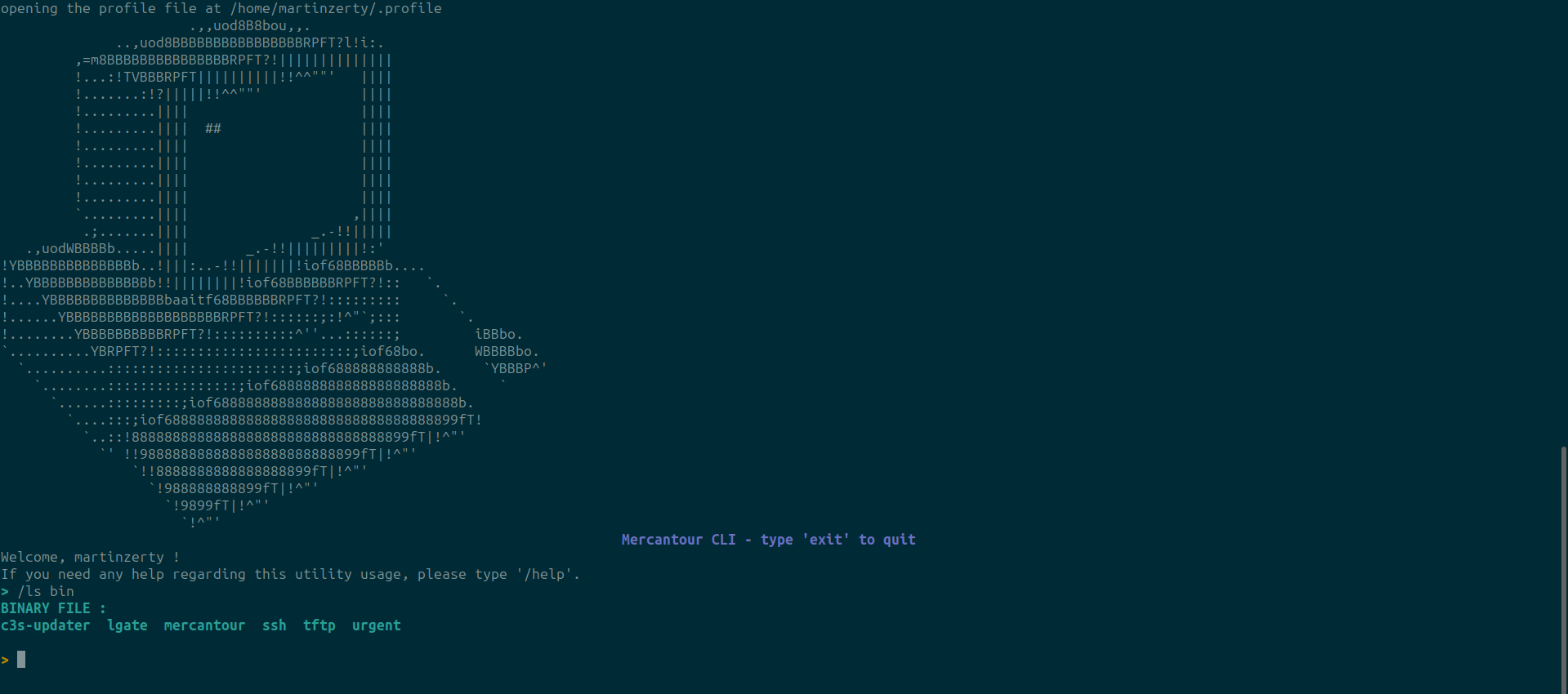 Mercantour CLI home page